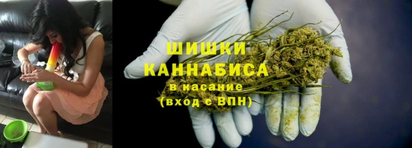 гидропоника Гусиноозёрск