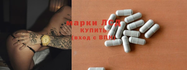 гидропоника Гусиноозёрск