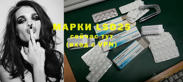 гидропоника Гусиноозёрск